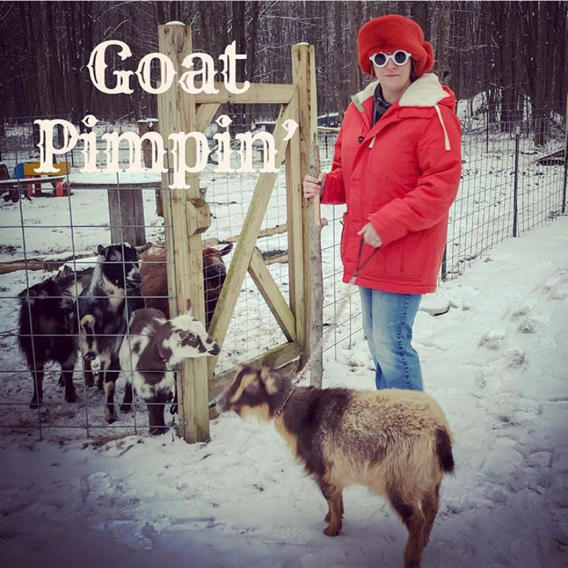 It’s Goat Pimpin Time