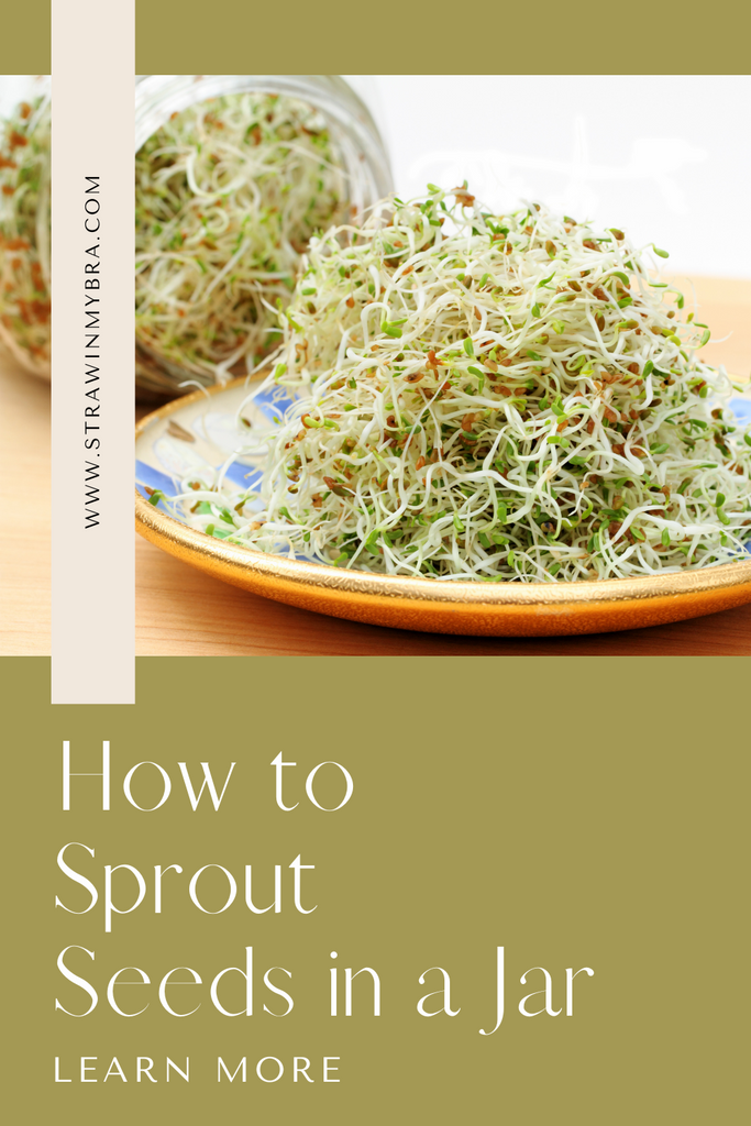 My New Obsession - Sprouting Seeds!
